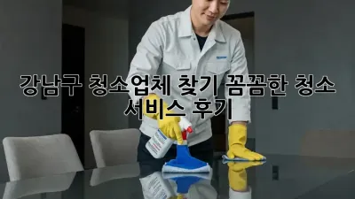 강남구 청소업체 찾기: 꼼꼼한 청소 서비스 후기